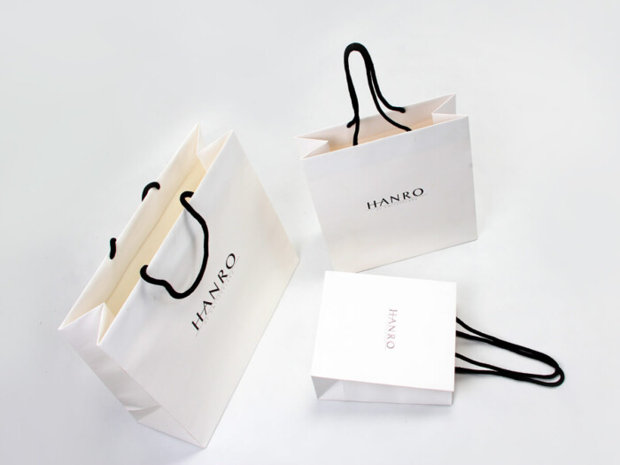 Classic Garment Shopping Paper Bags - Newstep